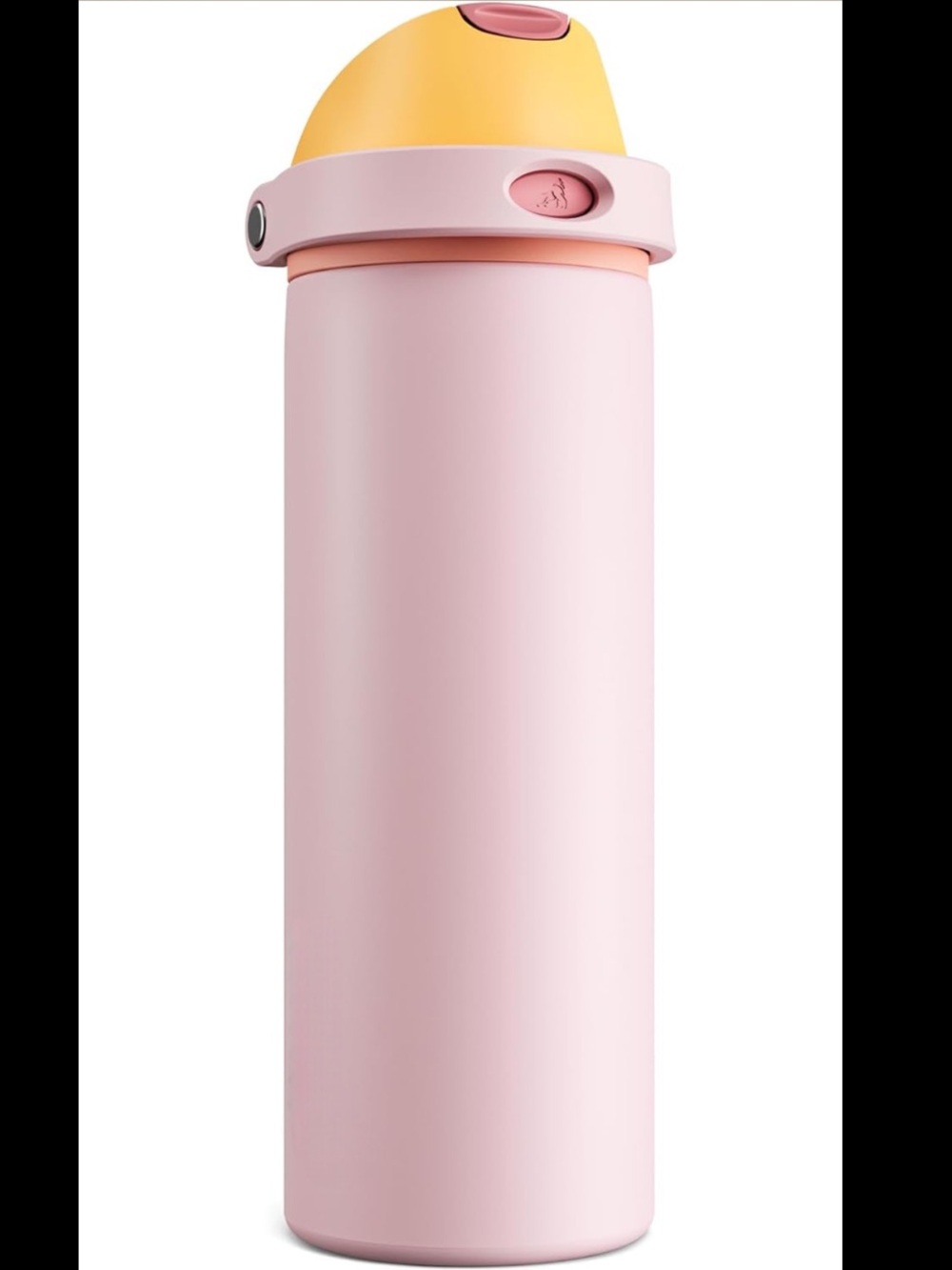 24 oz Stainless Water Bottle